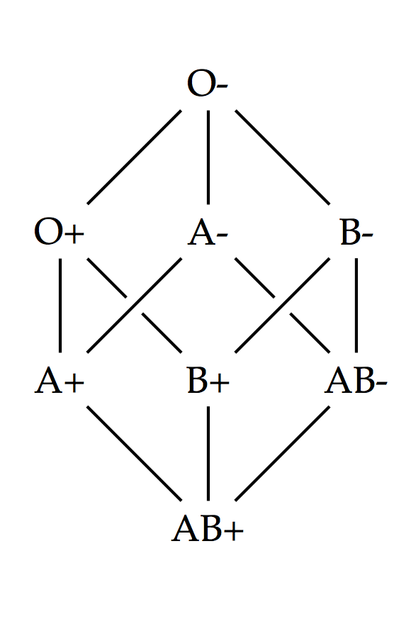 Hasse diagram of the ABO-Rh blood type system